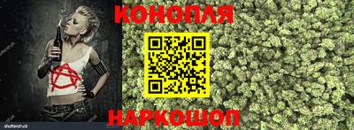 гидропоника Бузулук