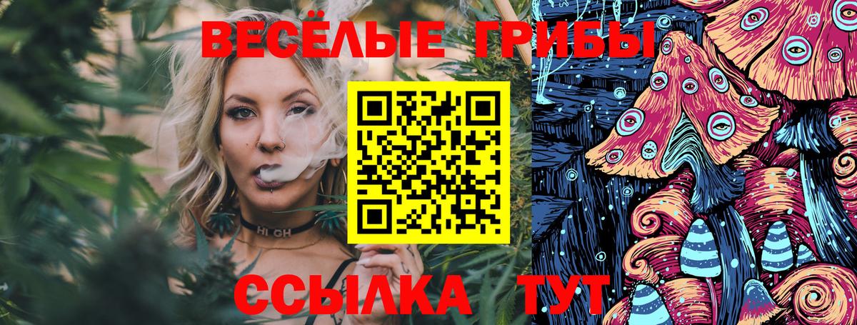 Галлюциногенные грибы GOLDEN TEACHER Саянск